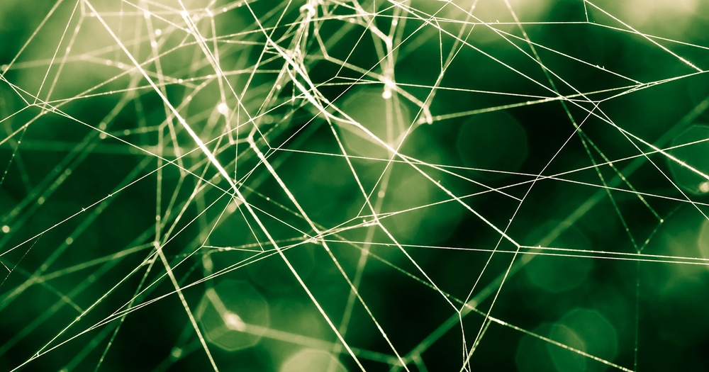 Spinnennetz als Synonym für was ist crawling