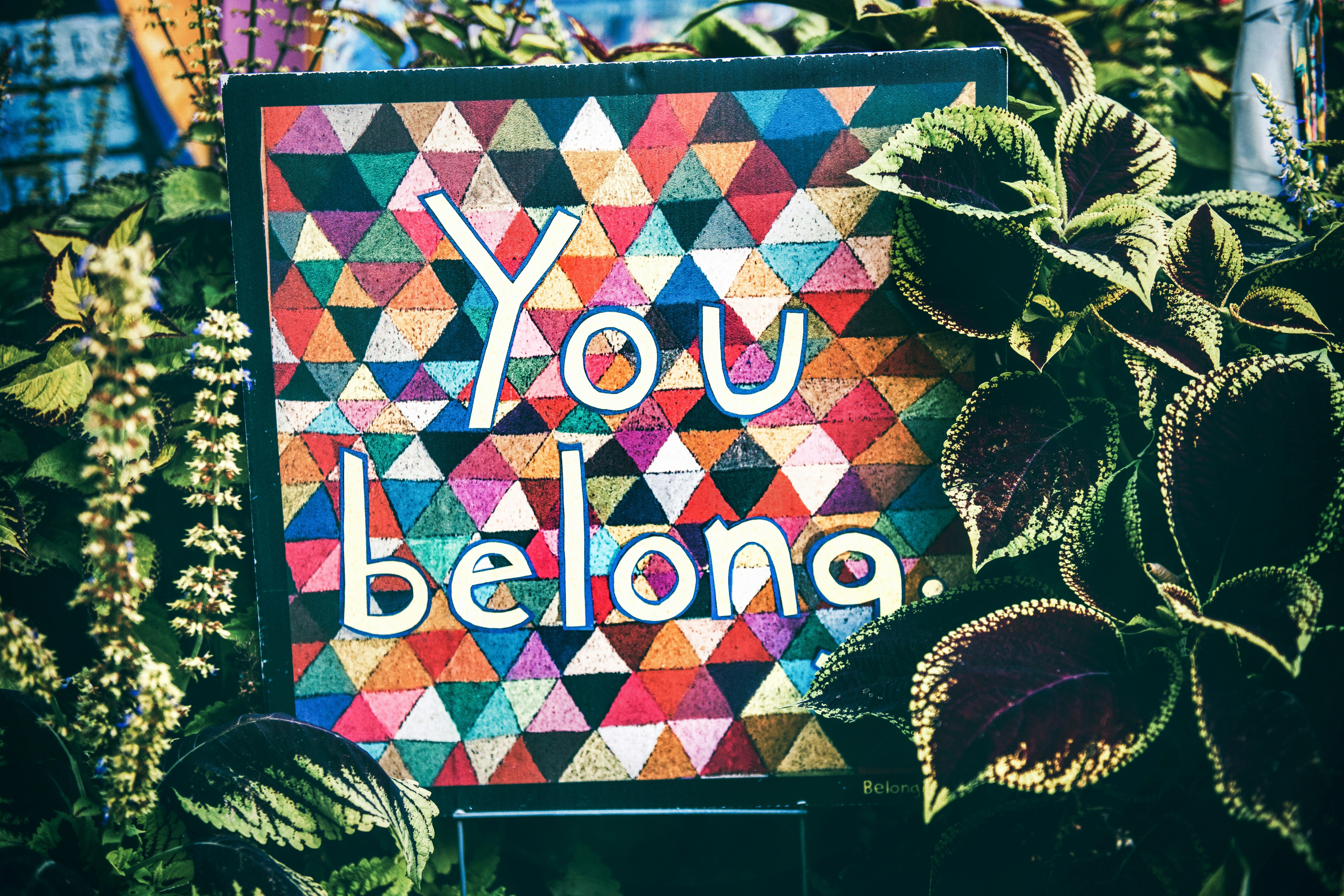Ein Mosaik mit der Aufschrift "you belong".