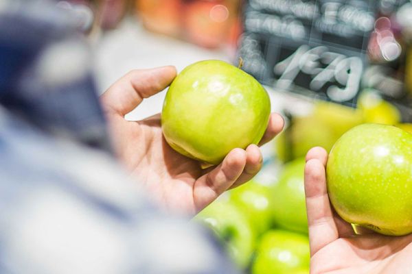 Ein Mann hält zwei frische grüne Äpfel in der Hand.
