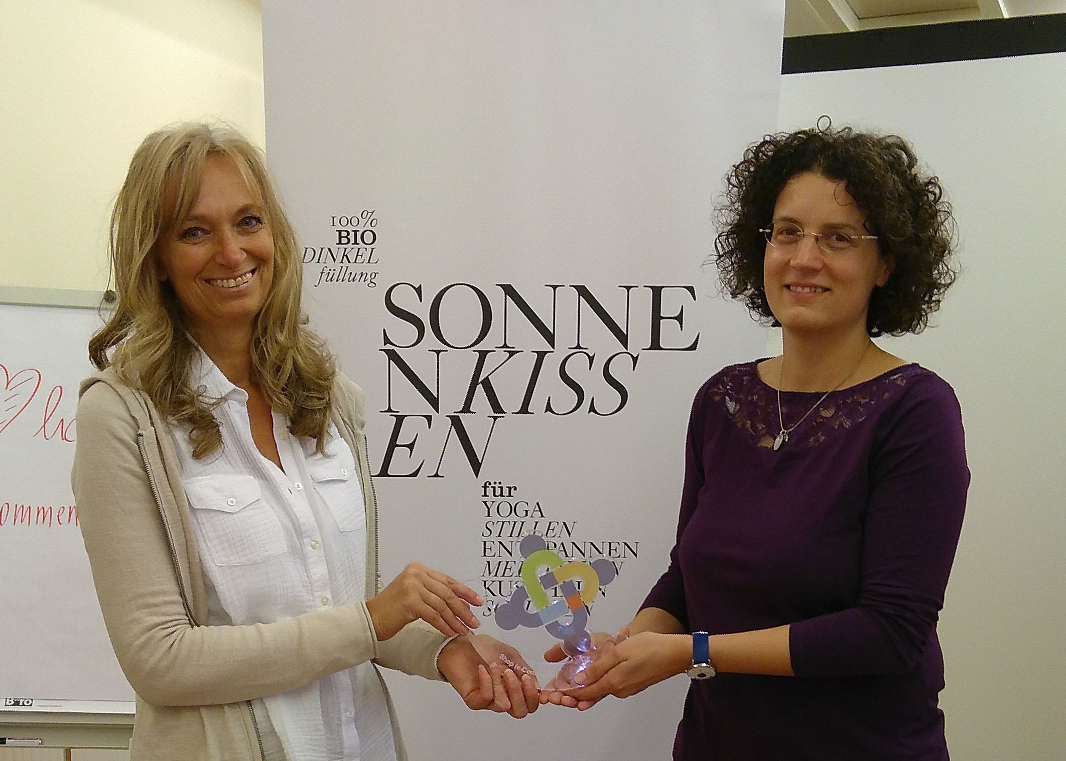 JOtto für Online-Shop Sonnenkissen